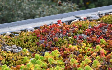 the cost of Pinged green roof installation