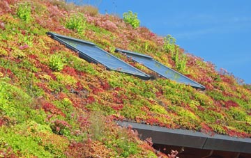 Pinged living roof systems